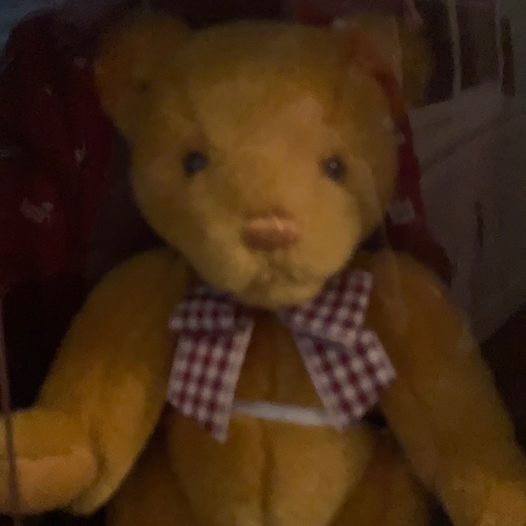 Gund 1996 Collector’s Bear new - Picture 3 of 9